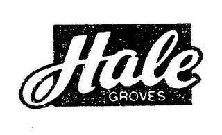 HALE GROVES logo