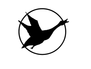 HALF COURT logo