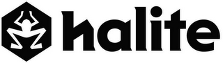 HALITE logo