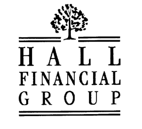 HALL FINANCIAL GROUP logo