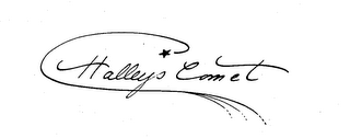 HALLEYS COMET logo