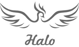 HALO logo