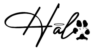 HALO logo