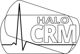 HALO CRM logo