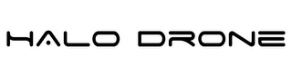 HALO DRONE logo