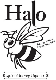 HALO HONEY SHOTS FROM HEAVEN SPICED HONEY LIQUEUR logo