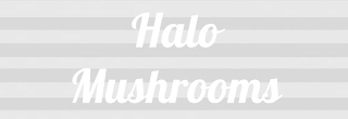 HALO MUSHROOMS logo