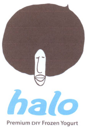HALO PREMIUM DIY FROZEN YOGHURT logo