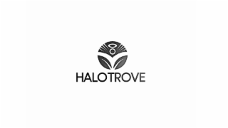 HALO TROVE logo