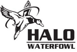 HALO WATERFOWL