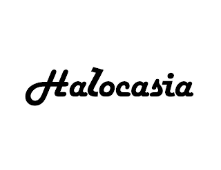 HALOCASIA logo
