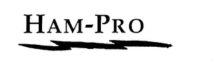 HAM-PRO logo