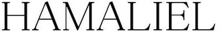 HAMALIEL logo