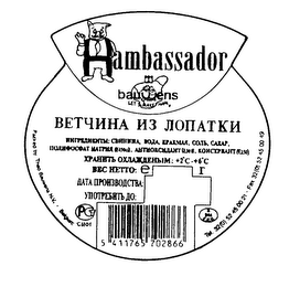 HAMBASSADOR BAUWENS LET'S MAKE HAM logo