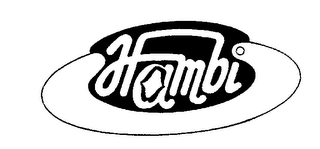 HAMBI logo