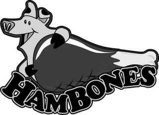 HAMBONES logo