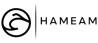 HAMEAM logo