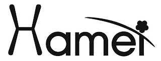 HAMEI logo