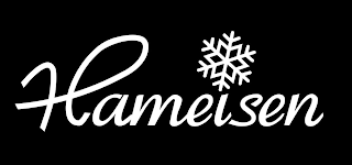 HAMEISEN logo