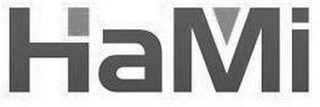 HAMI logo