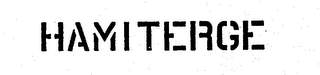 HAMITERGE logo