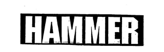 HAMMER logo