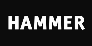 HAMMER logo