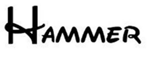 HAMMER logo