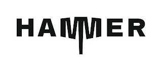 HAMMER logo