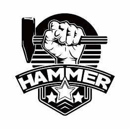 HAMMER logo