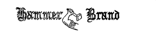 HAMMER BRAND logo