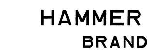 HAMMER BRAND logo