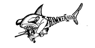 HAMMER-HEAD logo