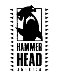 HAMMER HEAD AMERICA logo