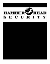 HAMMER HEAD SECURITY logo