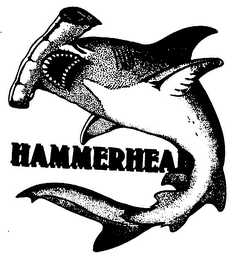 HAMMERHEAD logo