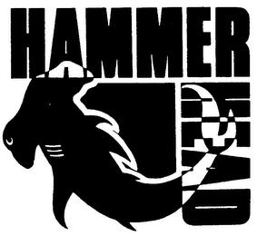 HAMMERHEAD logo