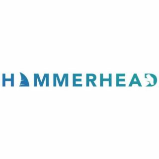 HAMMERHEAD logo