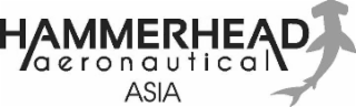 HAMMERHEAD AERONAUTICAL ASIA logo