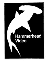HAMMERHEAD VIDEO logo