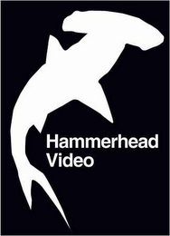 HAMMERHEAD VIDEO logo