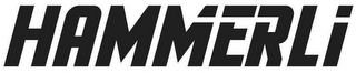 HAMMERLI logo
