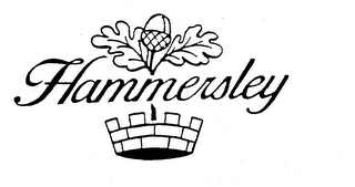HAMMERSLEY logo