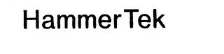HAMMERTEK logo