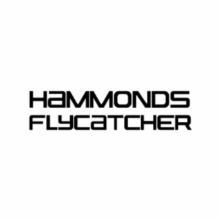 HAMMONDS FLYCATCHER logo