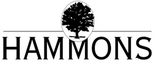 HAMMONS logo