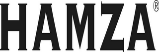 HAMZA logo