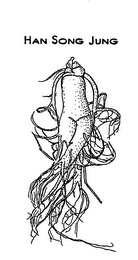 HAN SONG JUNG logo