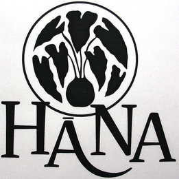 HANA logo