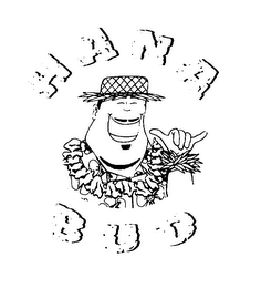 HANA BUD logo